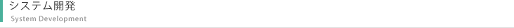 システム開発
System Development